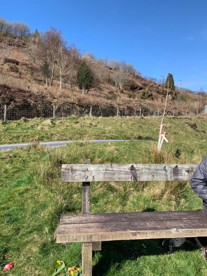Snowdonia Rock Cottage - Cosy And Pet Friendly Penrhyndeudreath Exterior photo