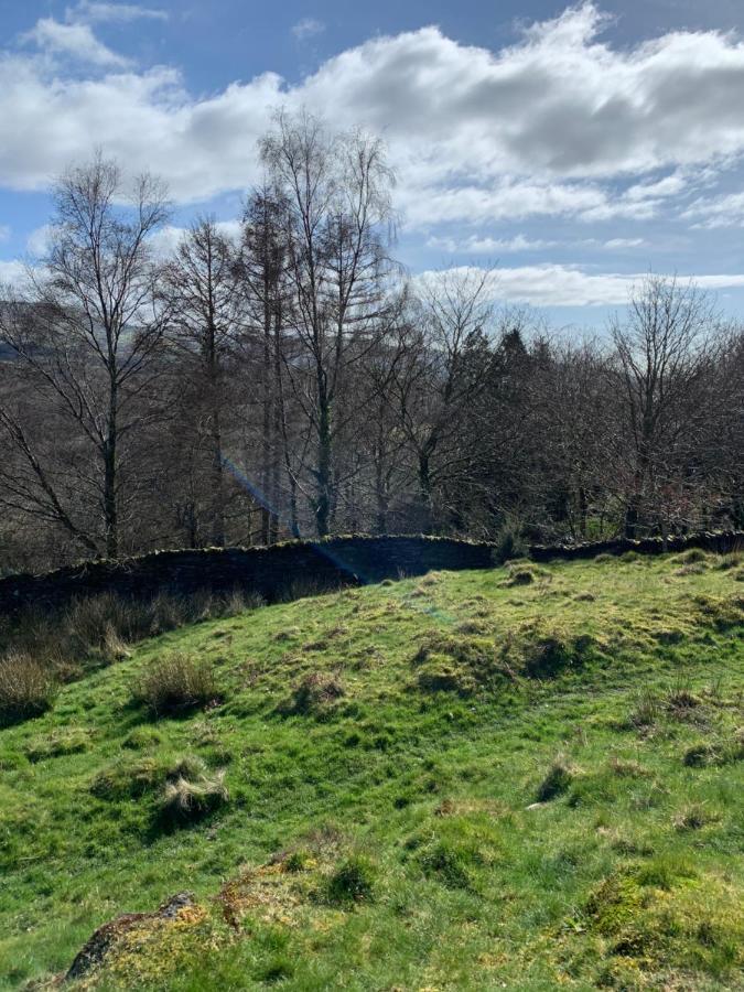 Snowdonia Rock Cottage - Cosy And Pet Friendly Penrhyndeudreath Exterior photo